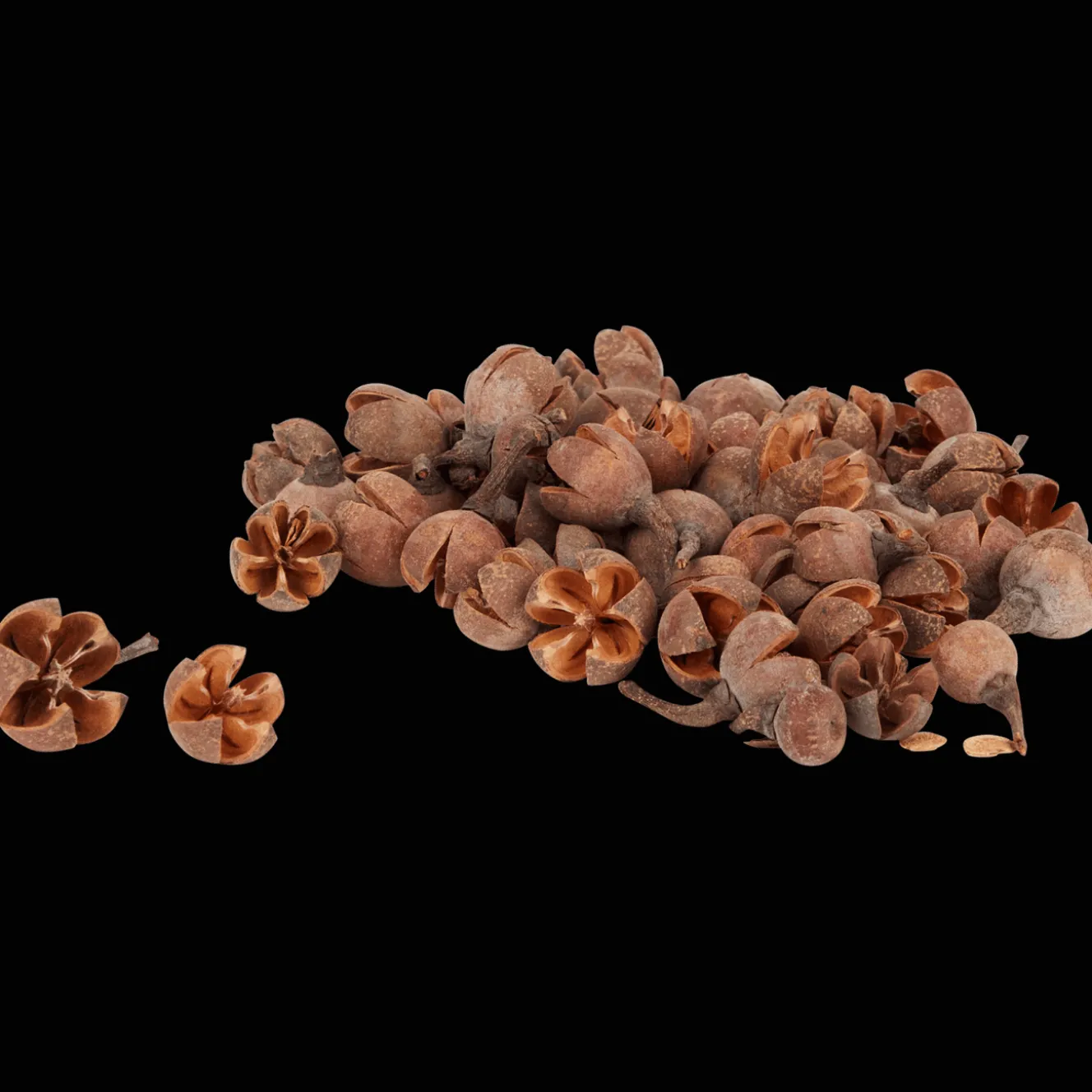 Home Accents decoratiemateriaal