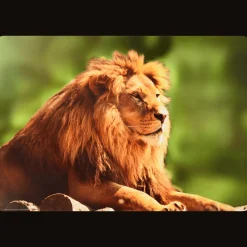 Teken- en knutselplacemat